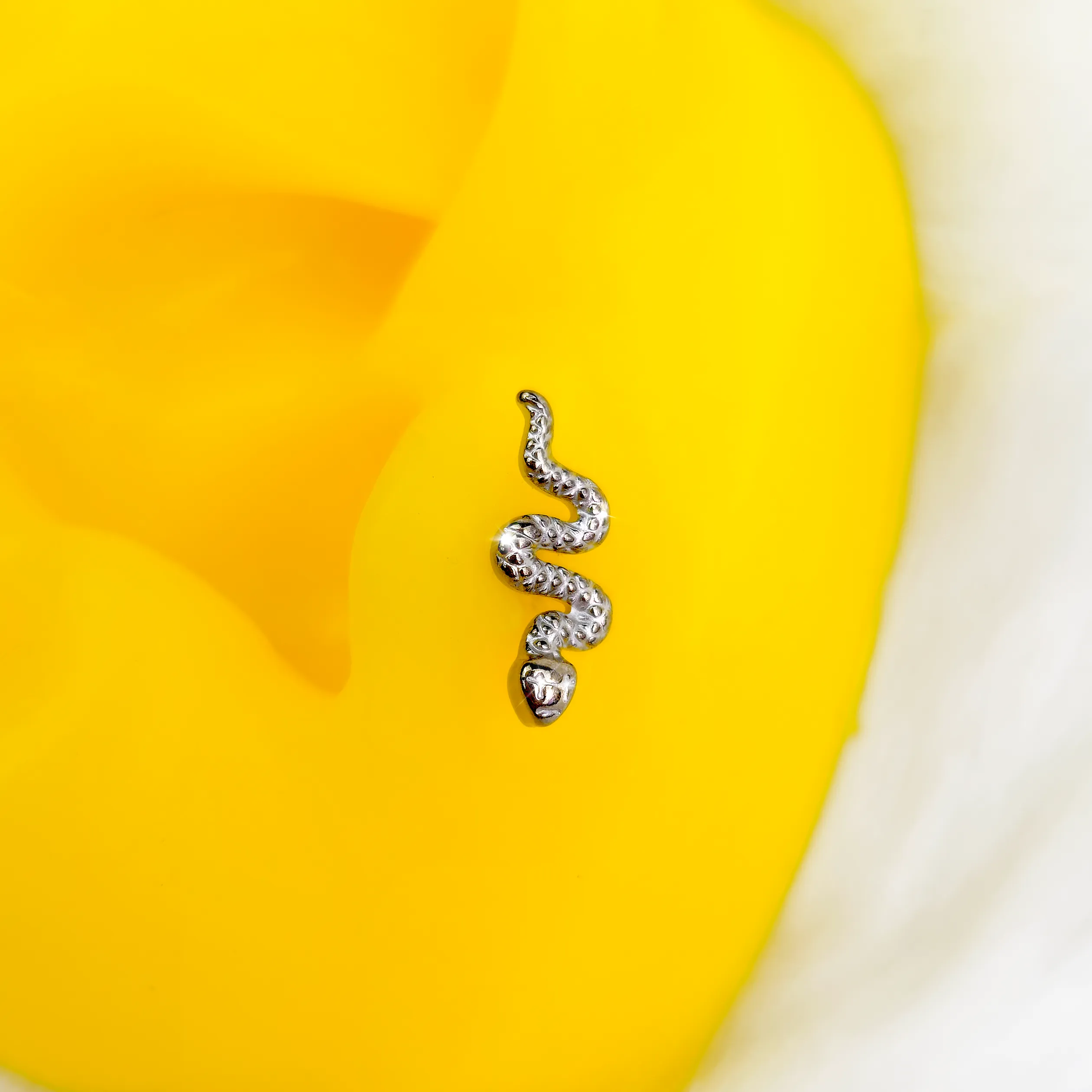 16 Gauge 1/4 Grade 23 Titanium Snake Threadless Push In Labret Tragus
