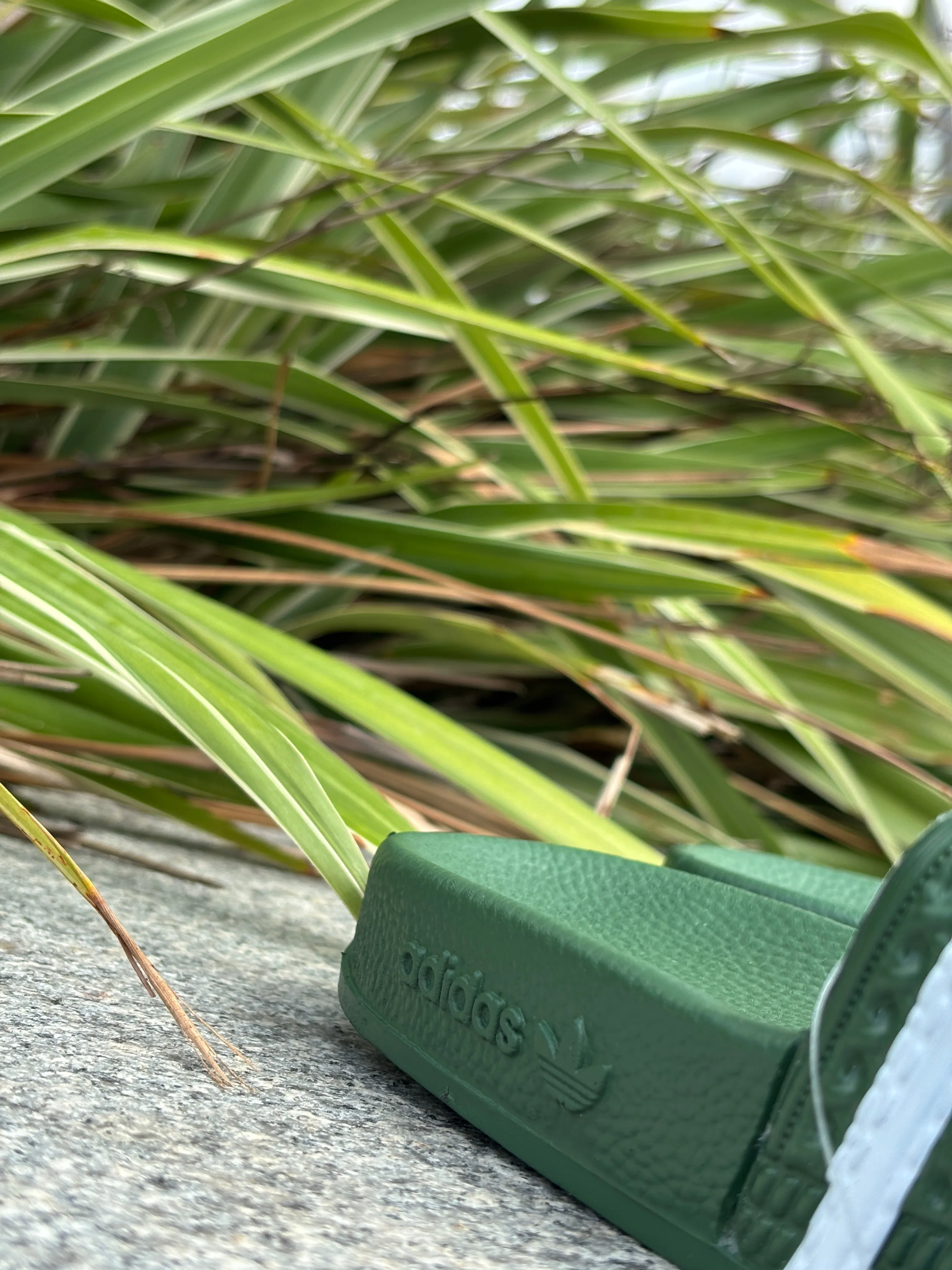 ADiLETTE SLIDES