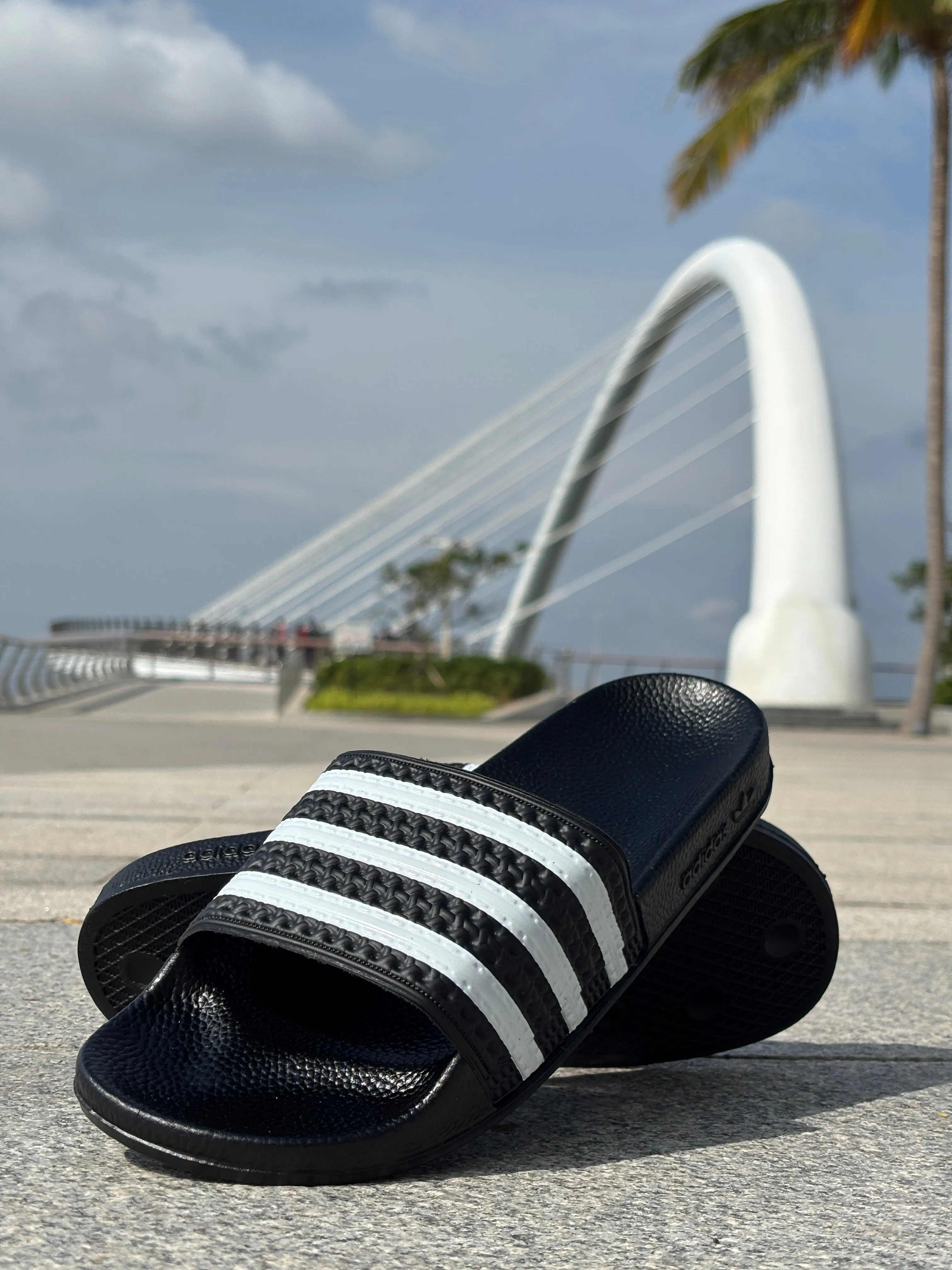 ADiLETTE SLIDES