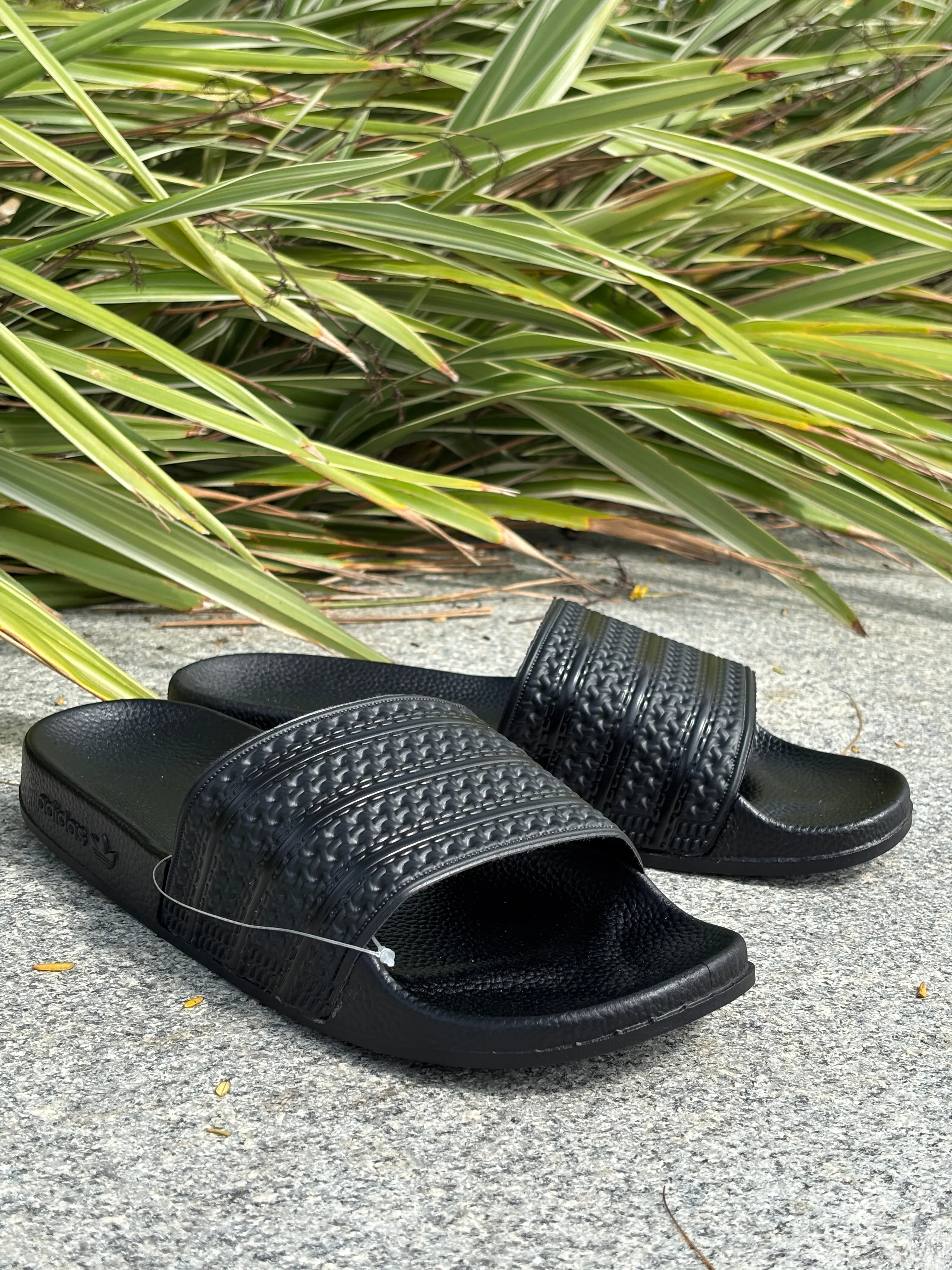 ADiLETTE SLIDES