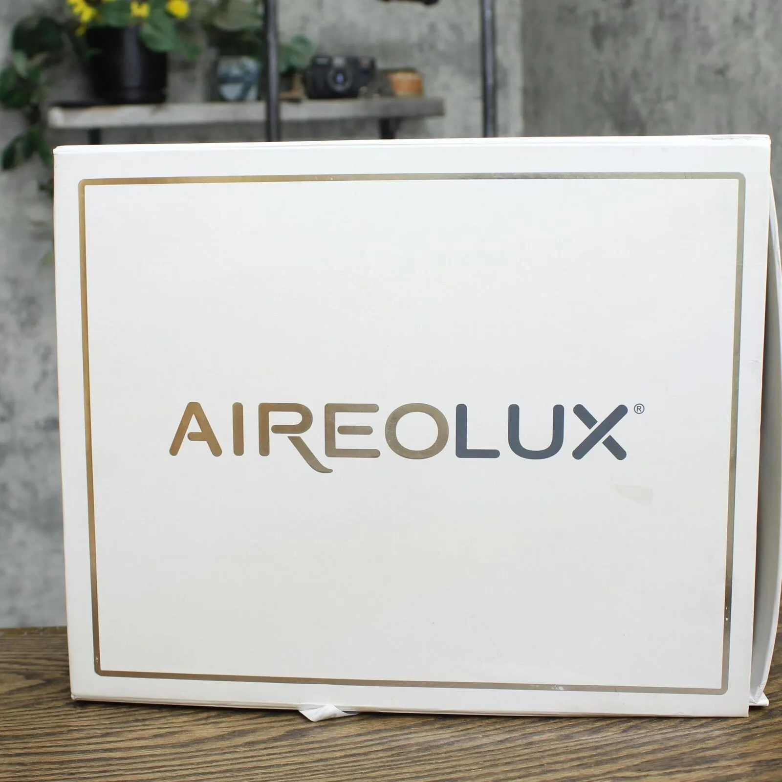 Aireolux 800 Thread 4-Piece Lightweight Supima Cotton Sheets Set Ecru King