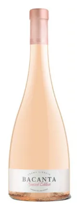 Bacanta - Rosé Barrique - Special Edition