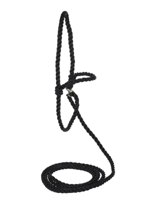 Breaking Halter Cow/Heifer Black