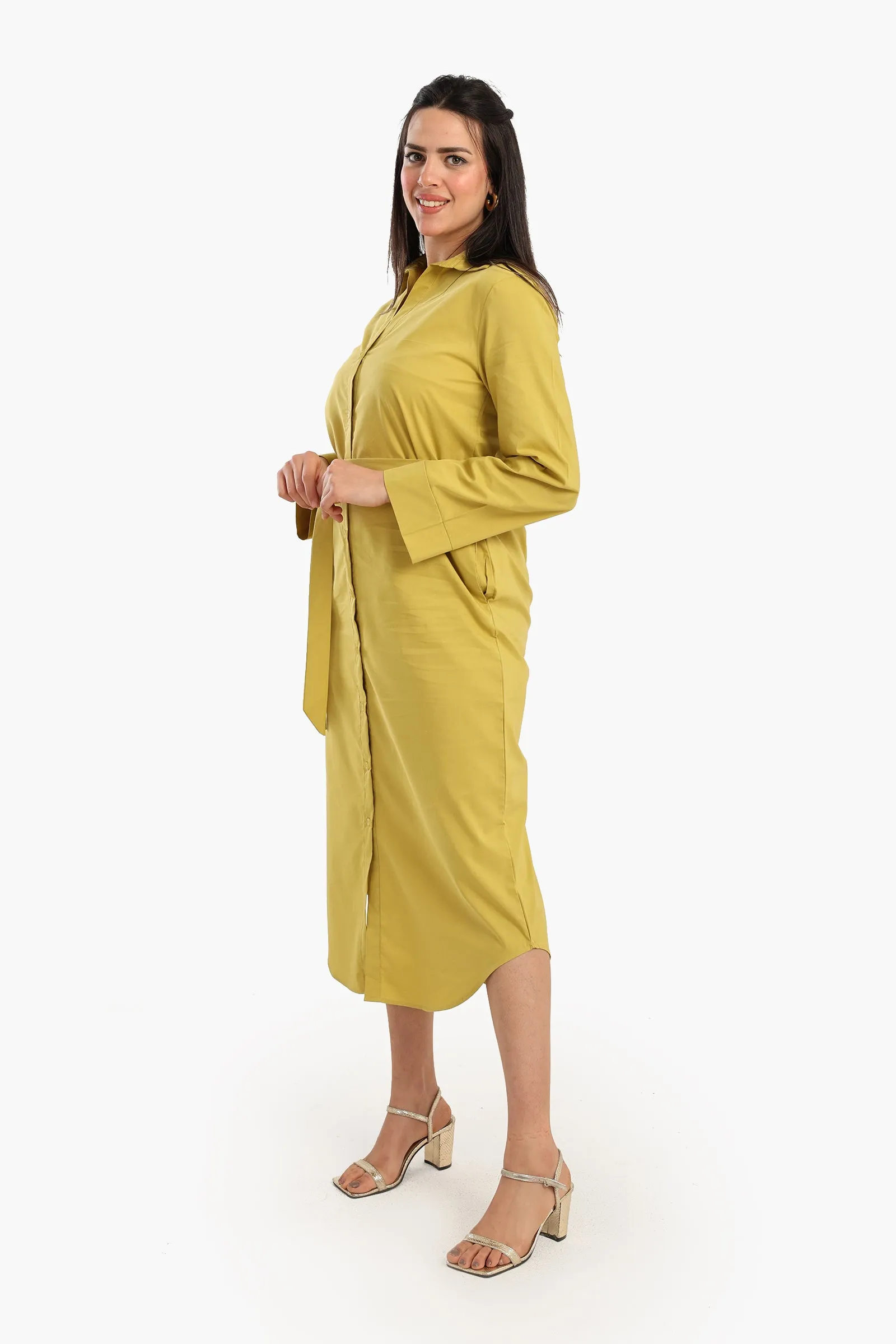 Classic Poplin Shirt Dress