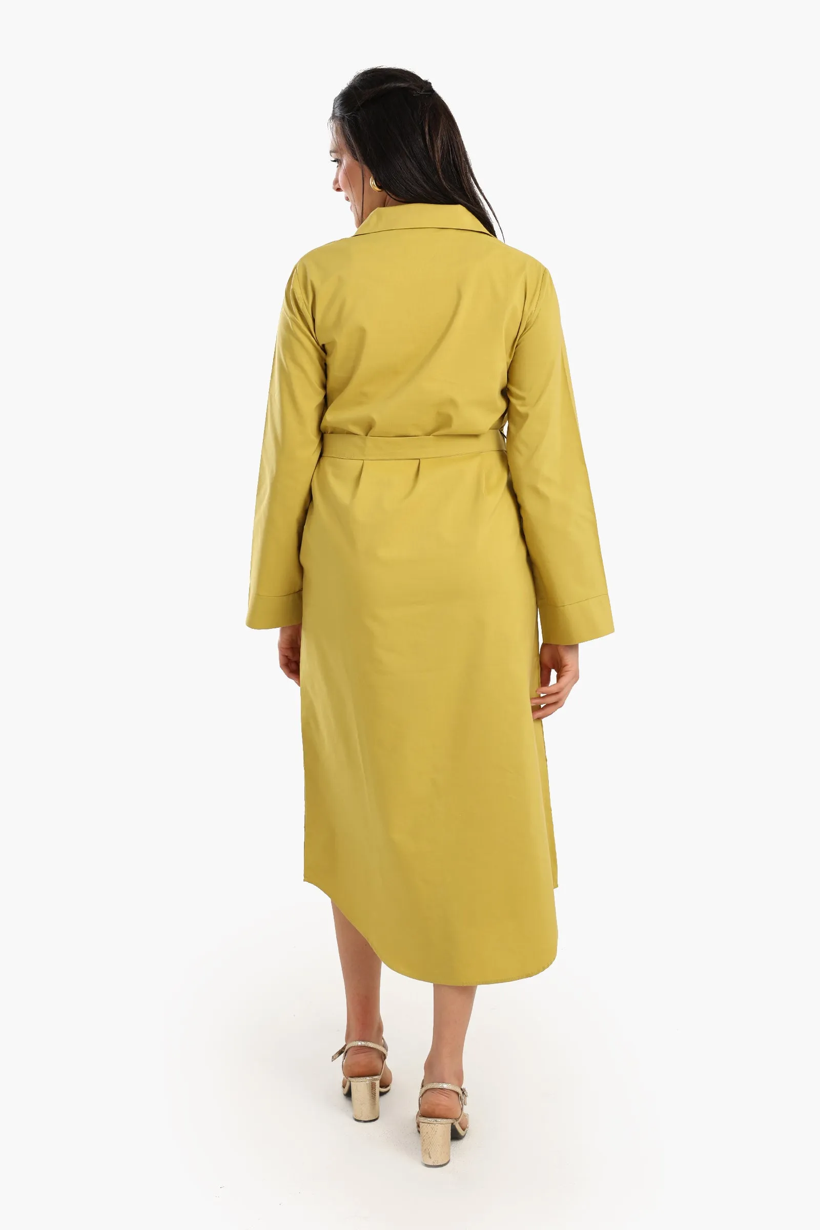 Classic Poplin Shirt Dress