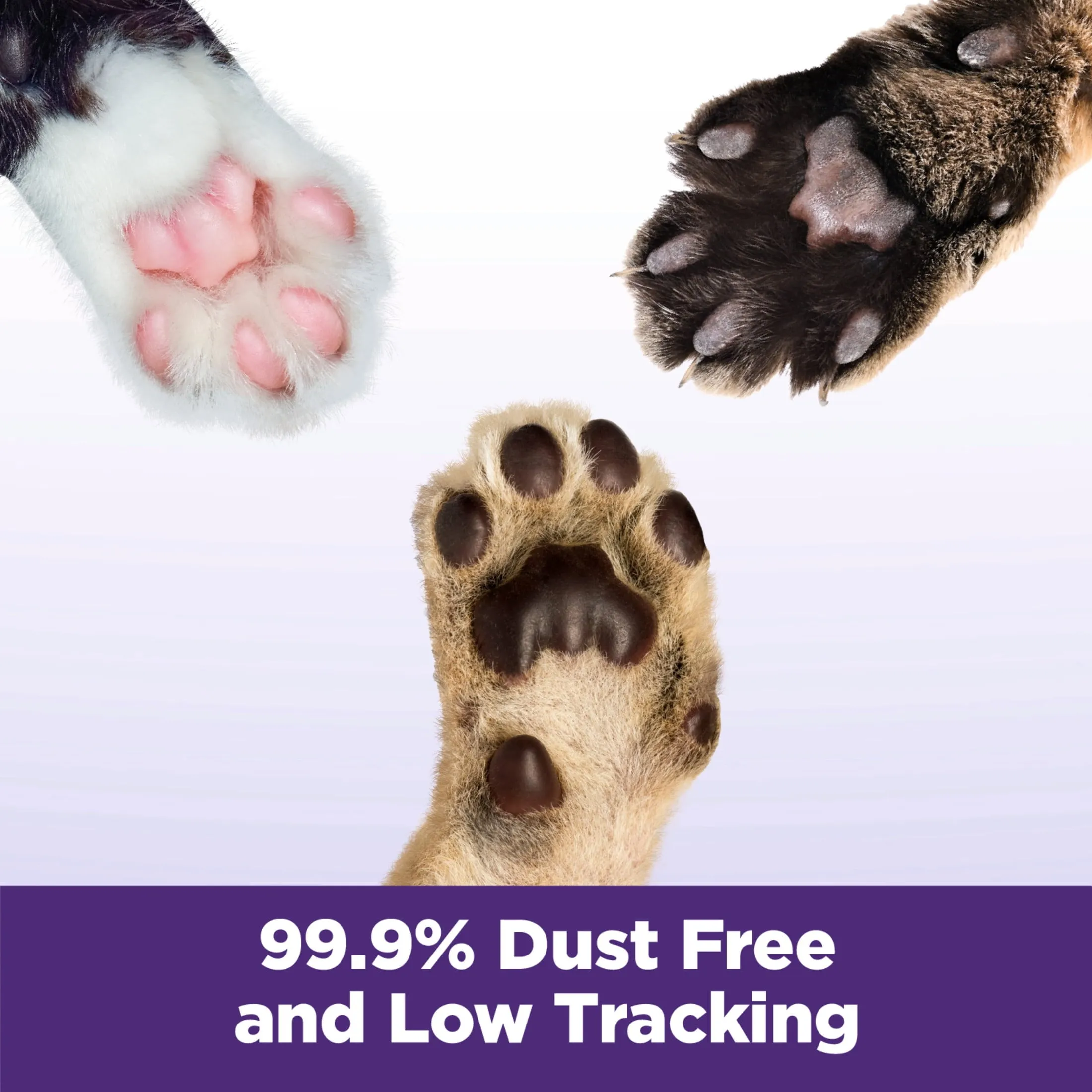 Clump & Seal SLIDE Cat Litter, Easy Clean-Up Multi-Cat Clumping Litter, 28 Lbs