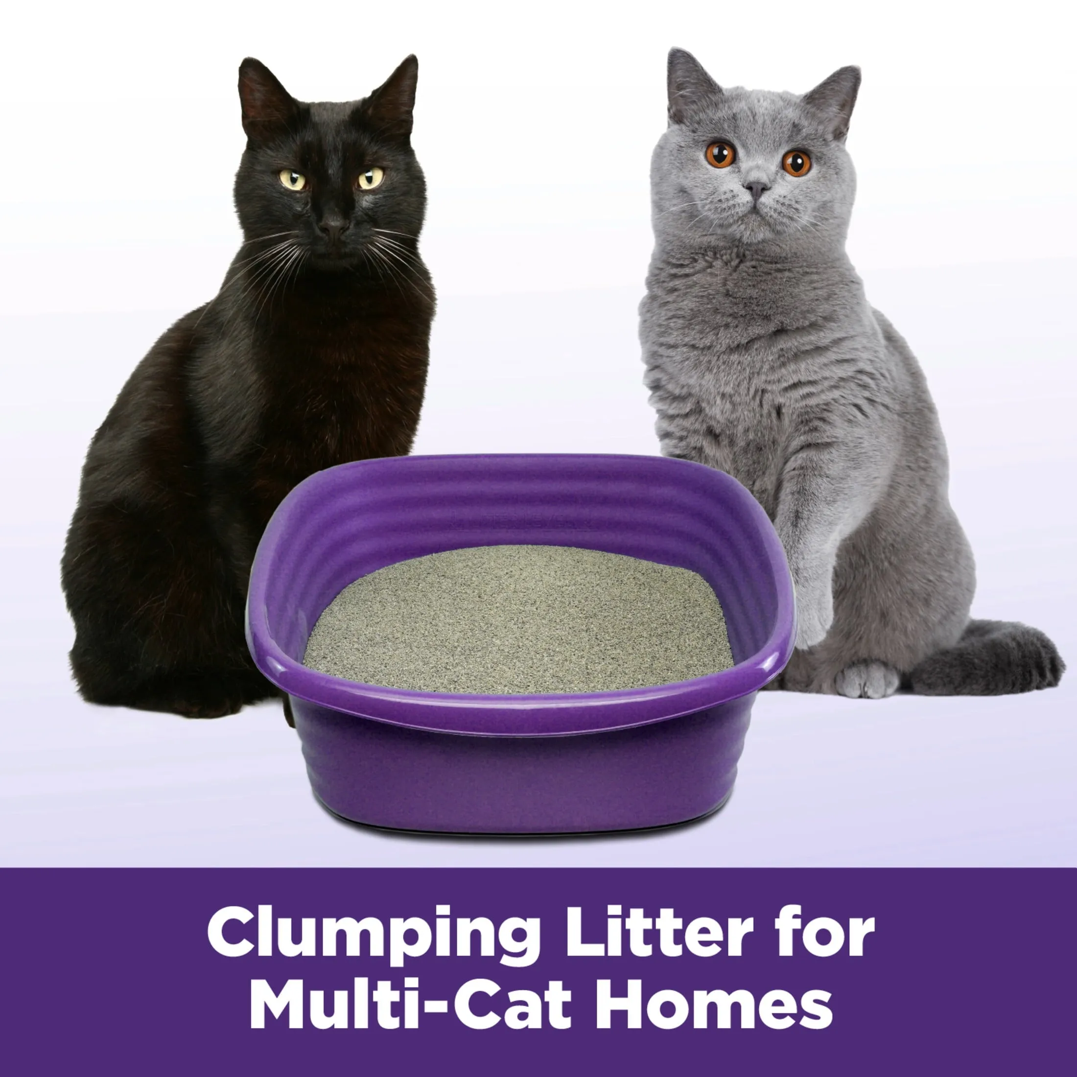 Clump & Seal SLIDE Cat Litter, Easy Clean-Up Multi-Cat Clumping Litter, 28 Lbs