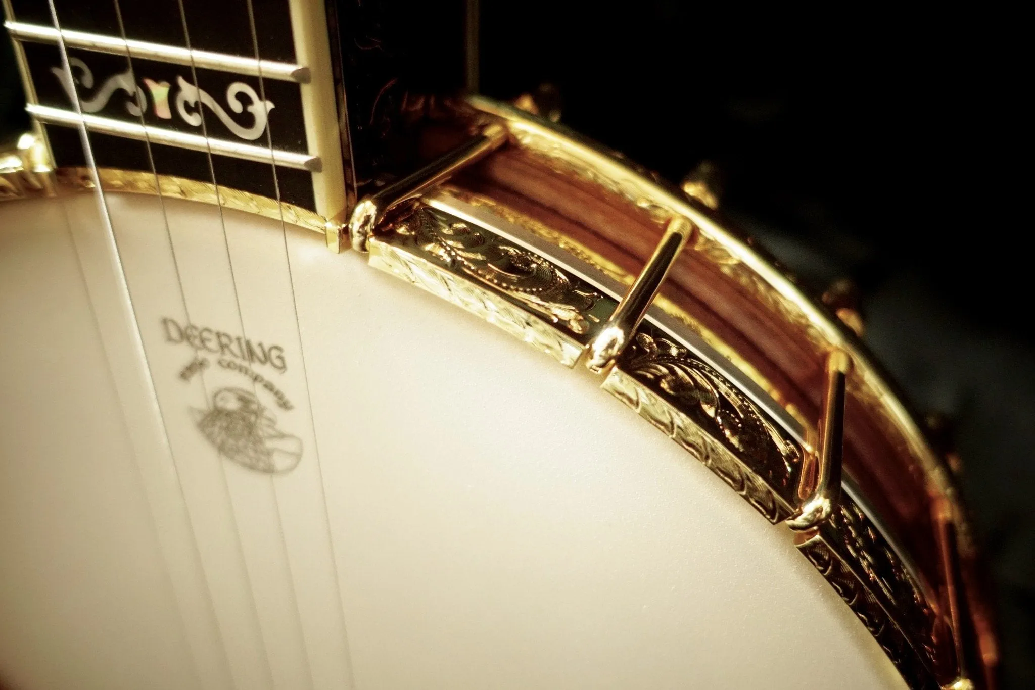Deering Ivanhoe Openback 5-String Banjo