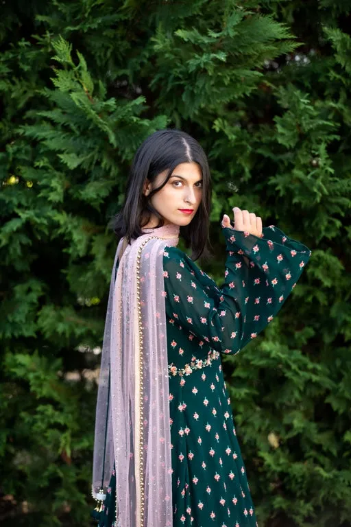 Elegant Green colored Anarkali  - Rent
