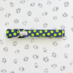 Fetch Collar