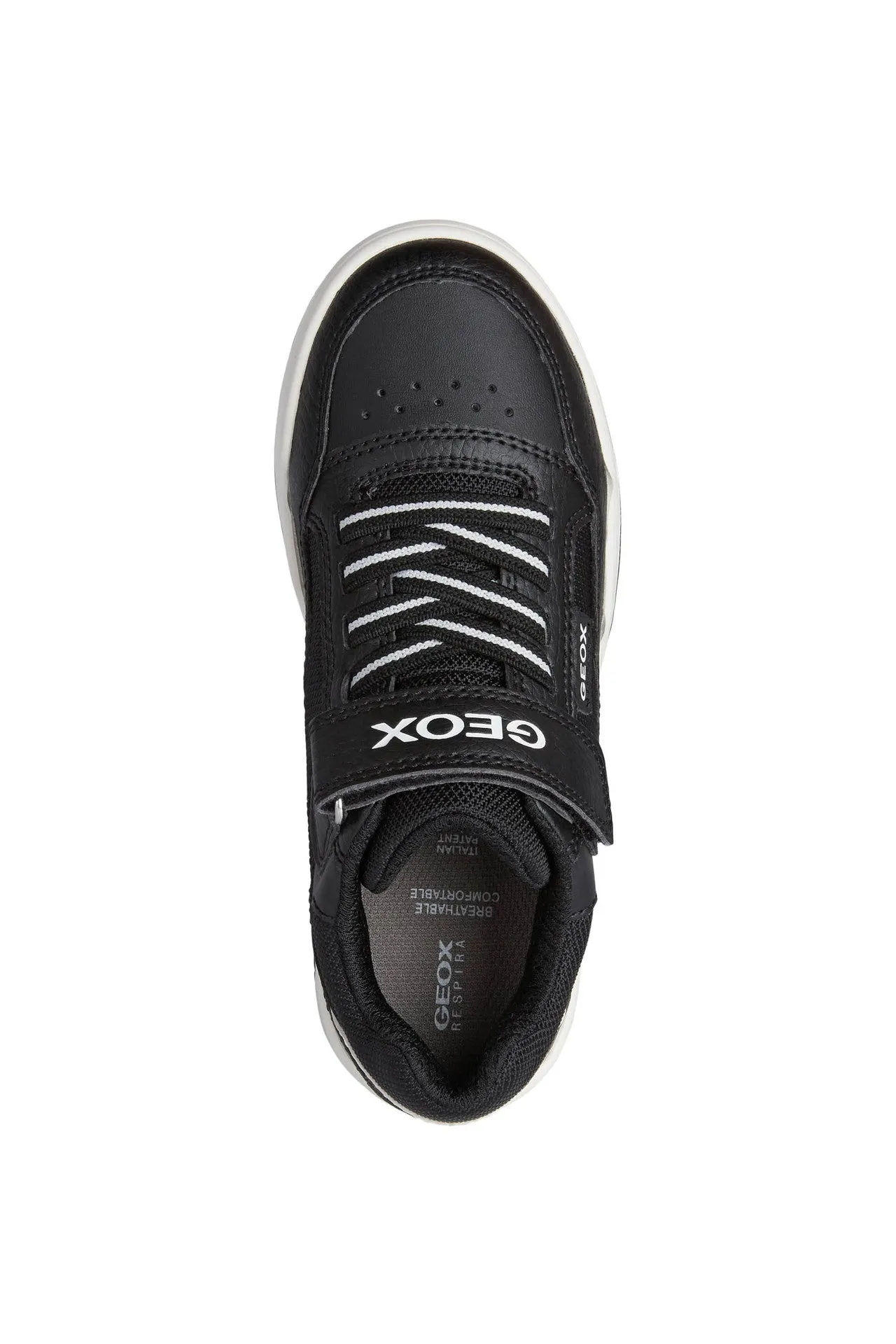 Geox - Perth - Black/White
