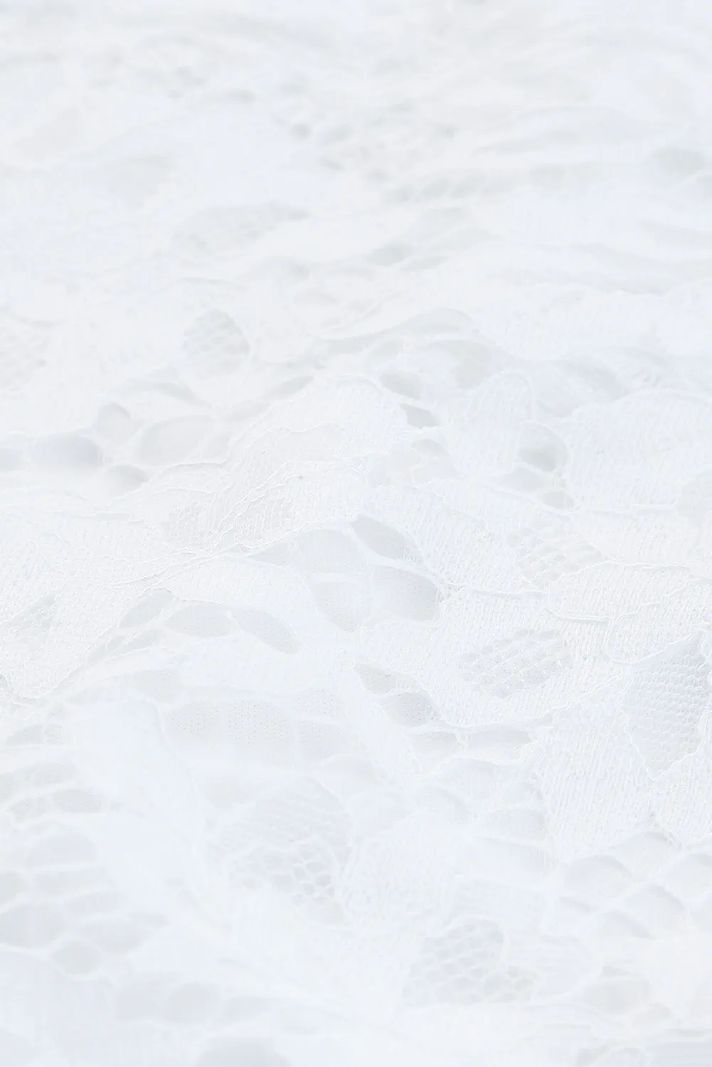 Lace Scalloped V Neck 3/4 Sleeves Pleated Tulle Plus Maxi Dress