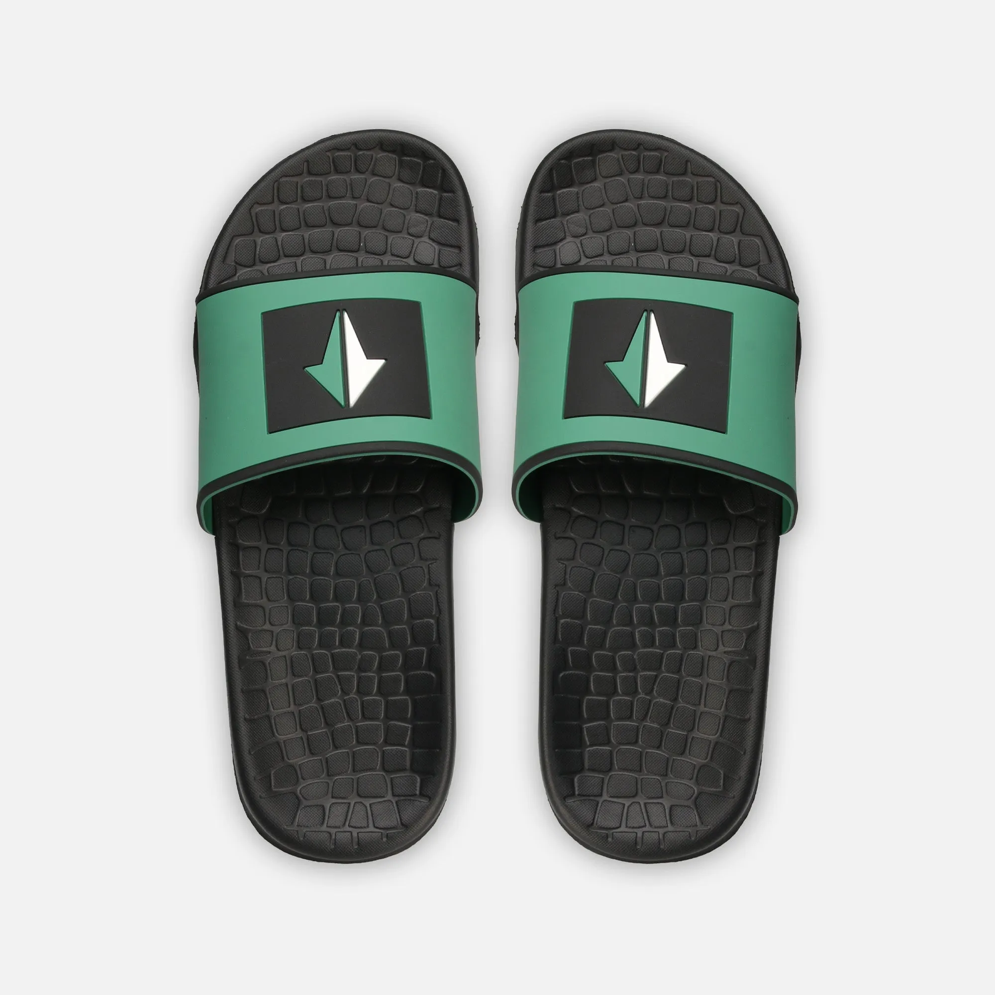 NORTH SLIDES