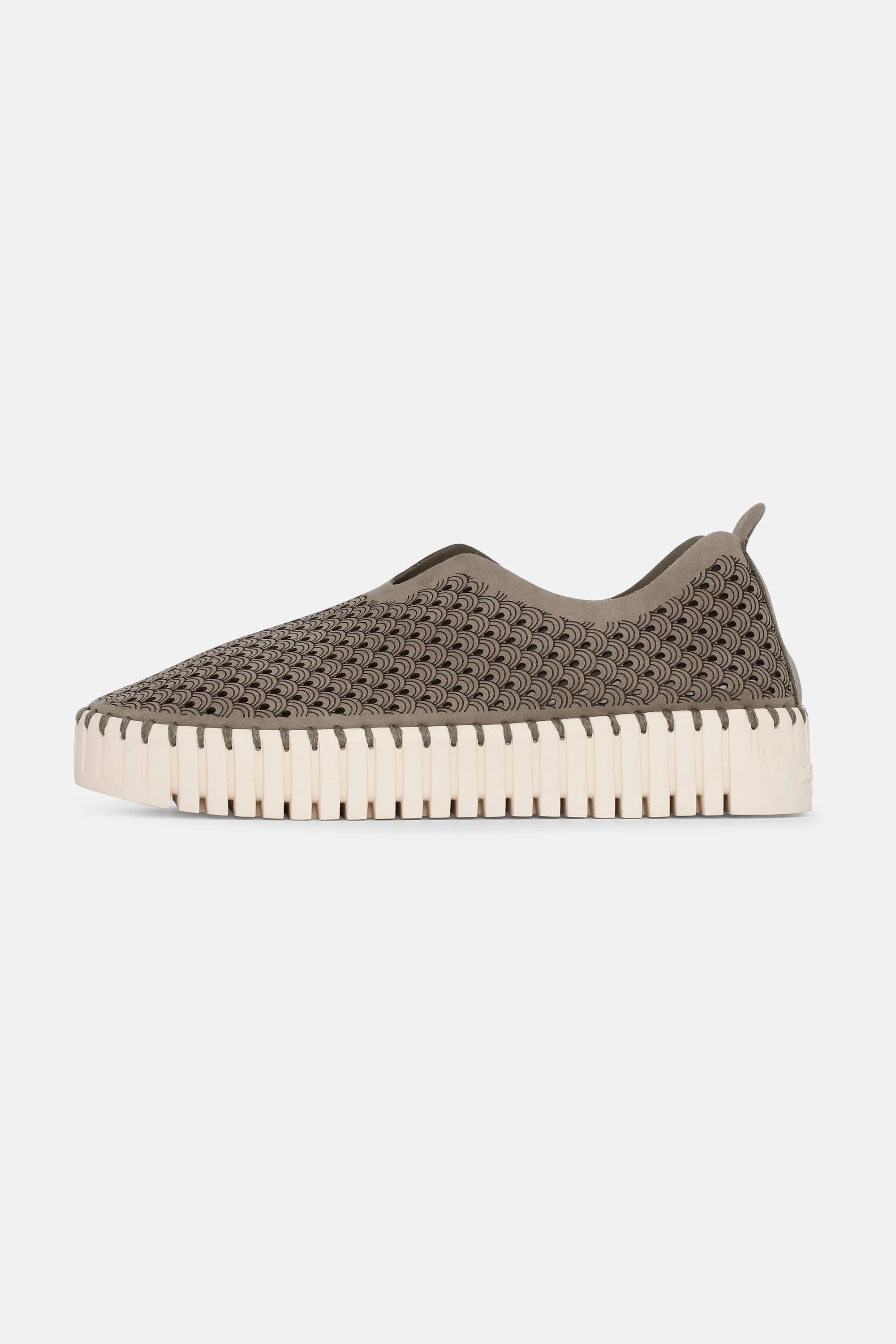 Platform Tulip Skor - Falcon