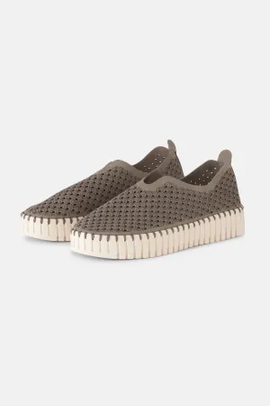 Platform Tulip Skor - Falcon