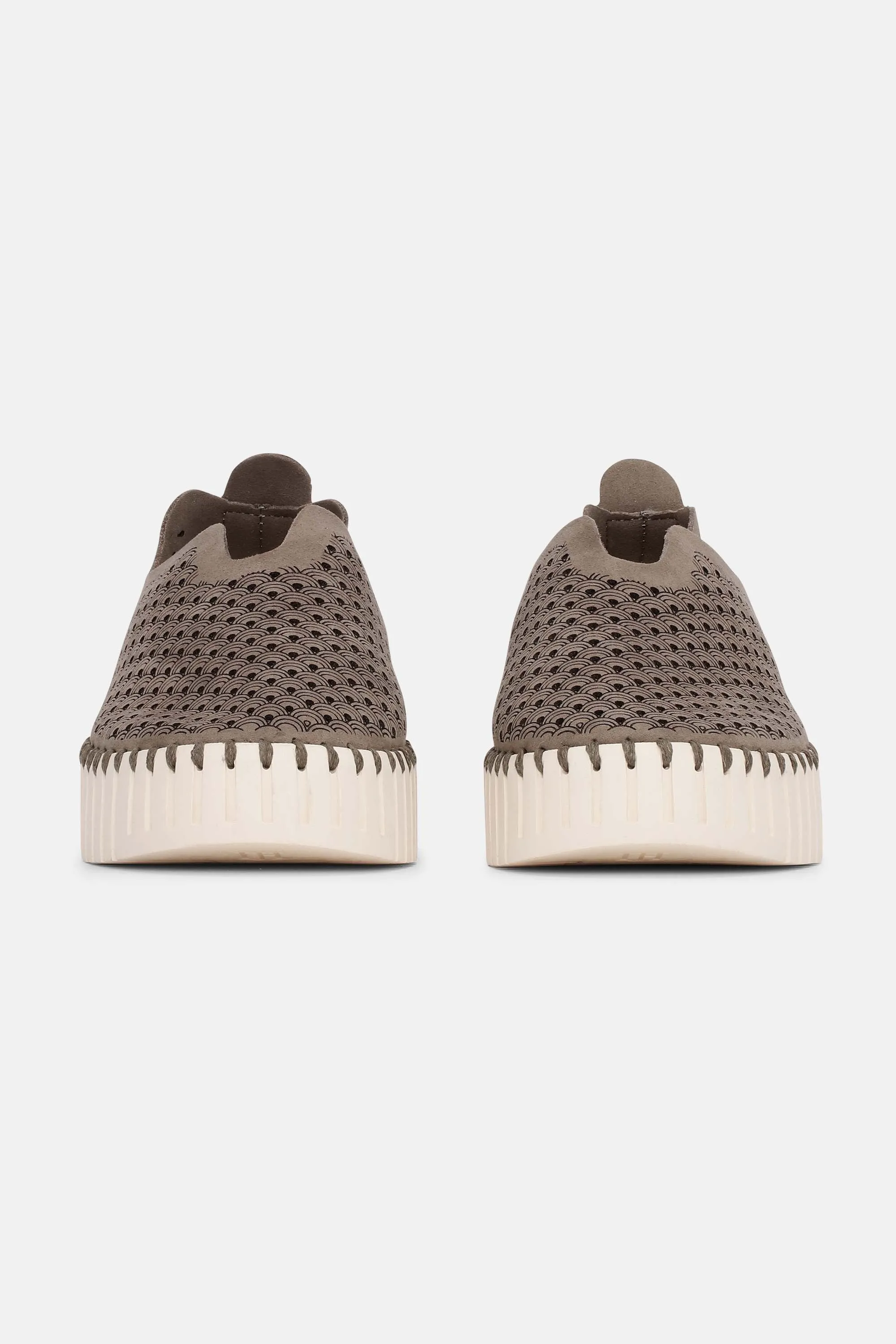 Platform Tulip Skor - Falcon