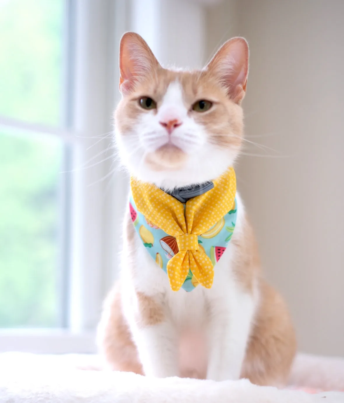 Scouts Bandana | Golden Summer