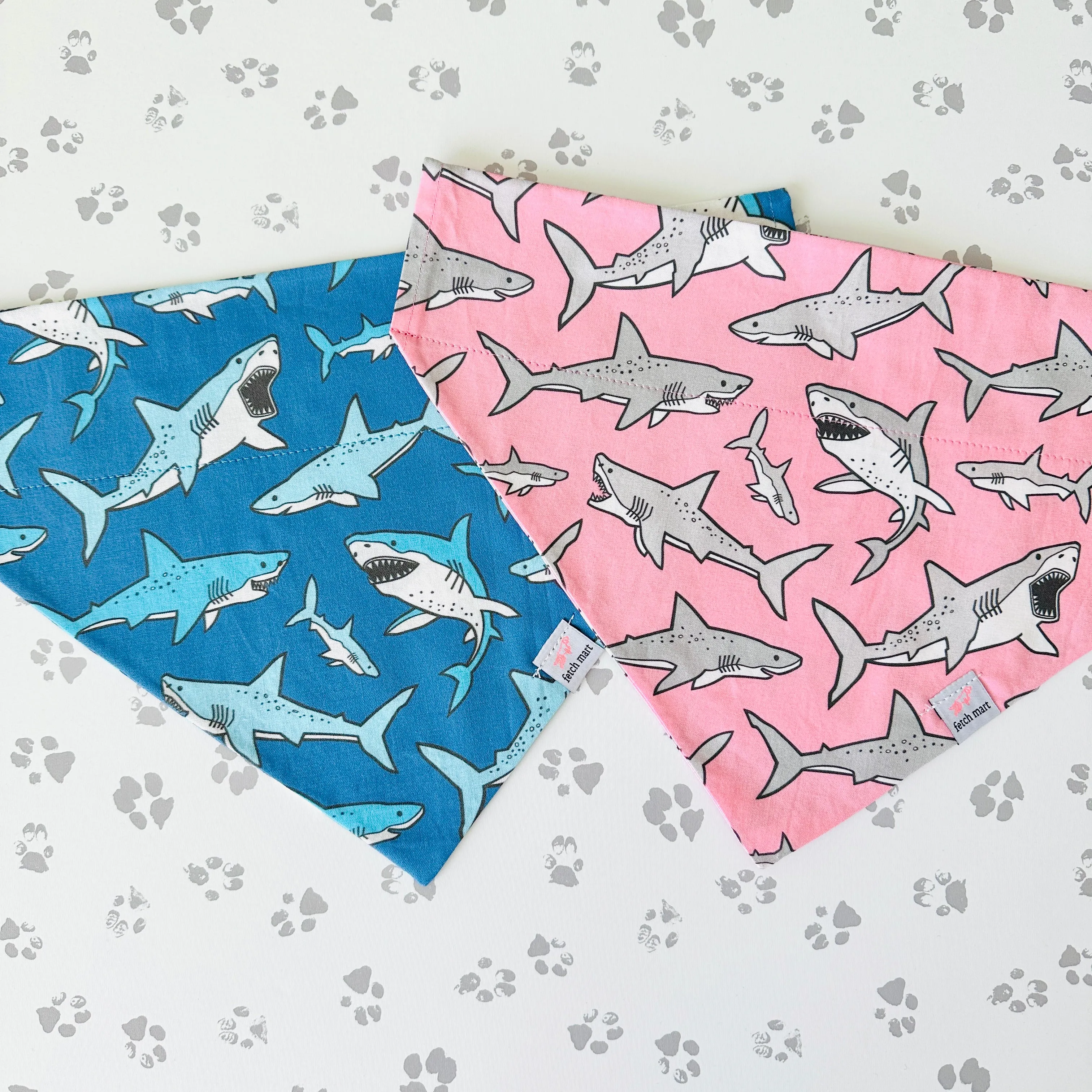 Sharks in Blue Collar