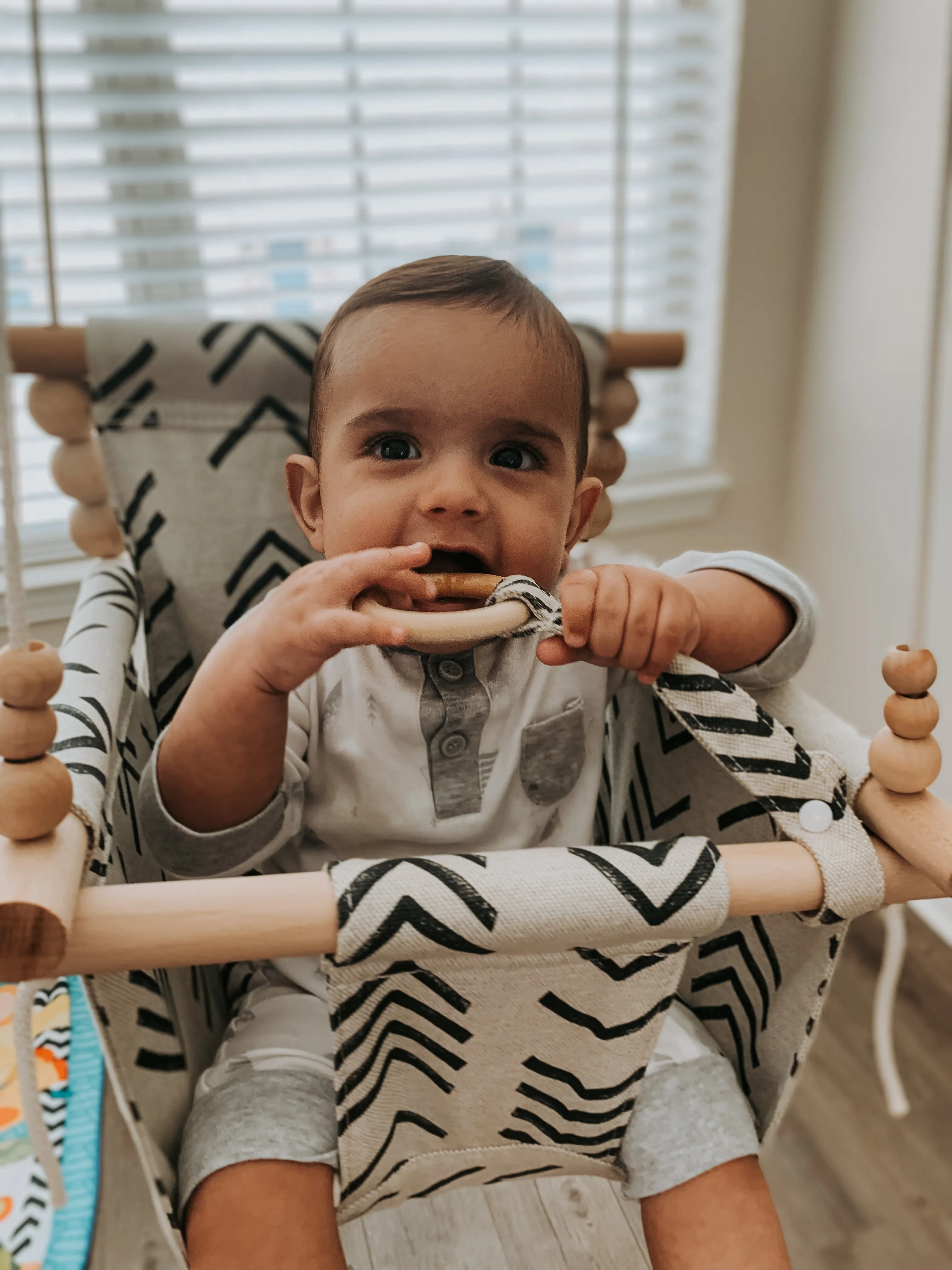 Teether or Toy Ring